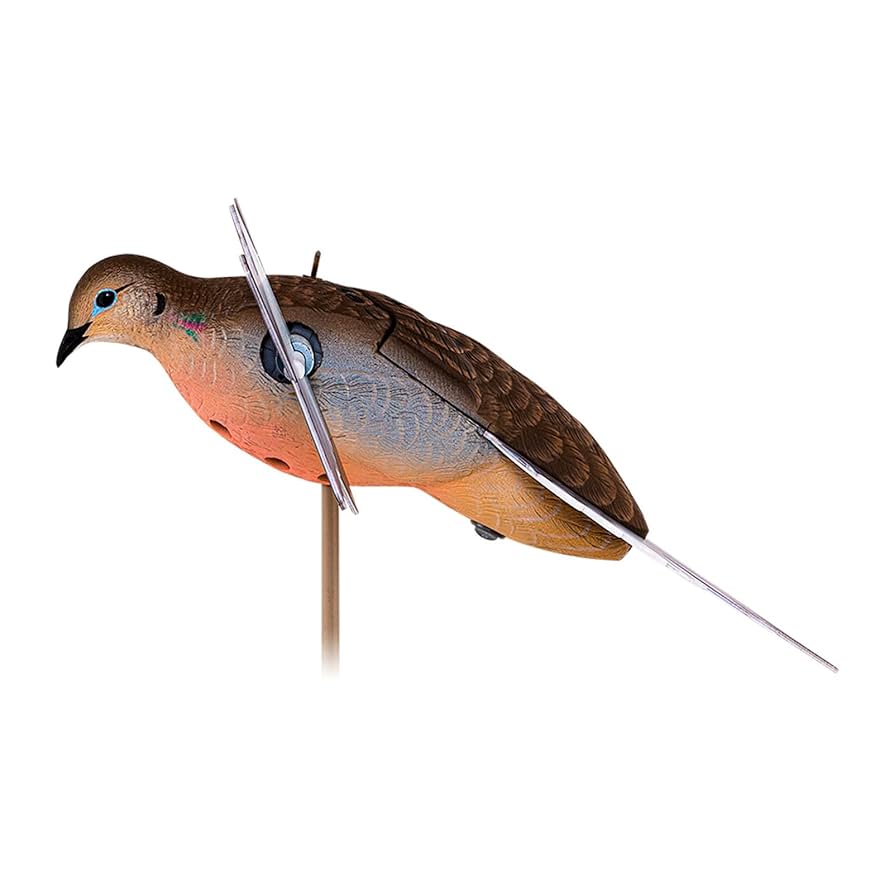  バード　 Dove Avian-X POWERFLIGHT Spinning Wing Dove, Decoys - Amazon Canada